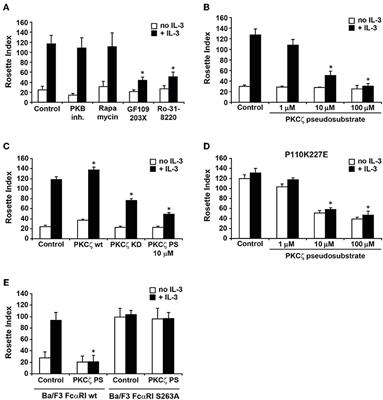 FcαRI Dynamics Are Regulated by GSK-3 and PKCζ During Cytokine Mediated Inside-Out Signaling